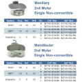 Bandas de Pre-Soldadura 2ND Molar Single No-Convertible